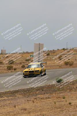 media/May-03-2025-Lucky Dog Racing (Sat) [[206de64b9d]]/Turn 6 (150pm-230pm)/